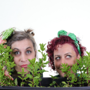Seed Sistas