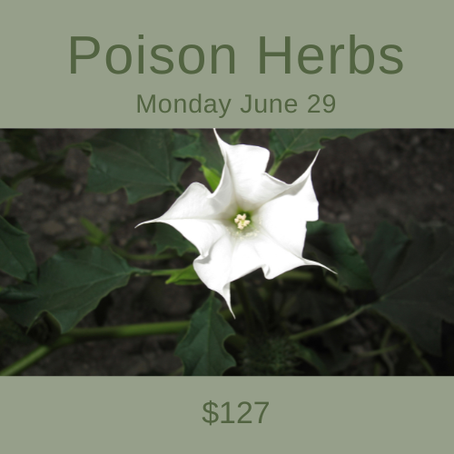 Poison. Herbs